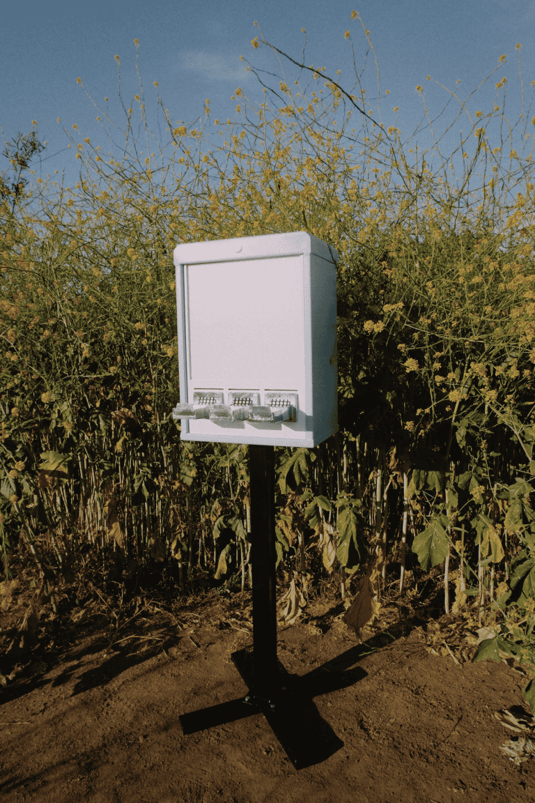 Modern art vending machine installed outdoors among wild plants and blue sky.