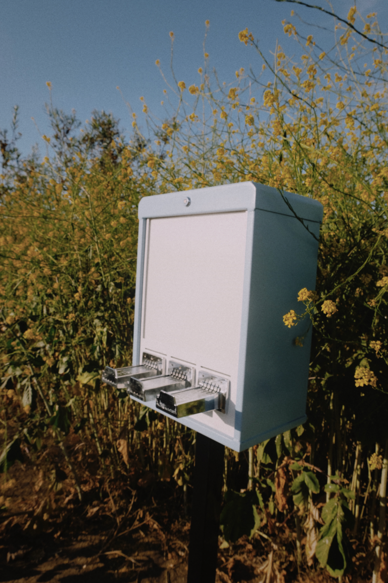 art vending machine rental
